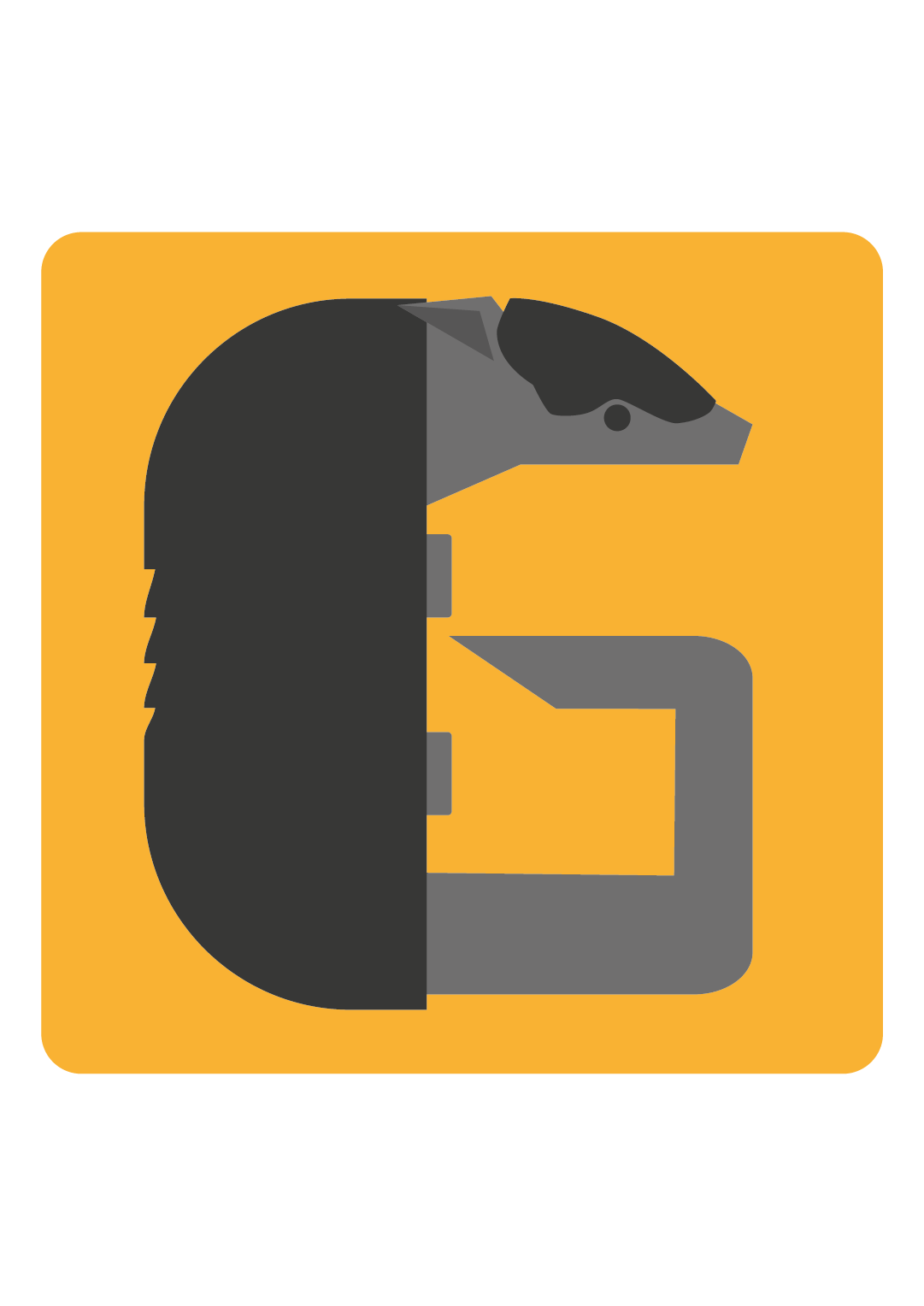 Logo GazaSafes